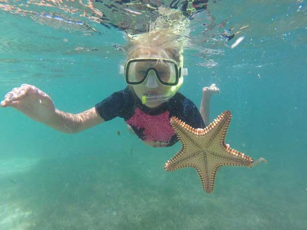 Snorkeling girl with a starfish.