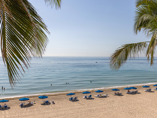 Aerial View Of The Beach